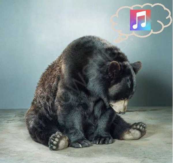 Apple отказва iTunes Има ли живот след услугата?