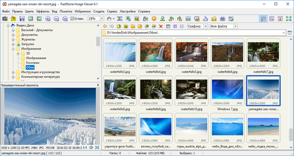 FastStone Image Viewer - переглядач і редактор зображень