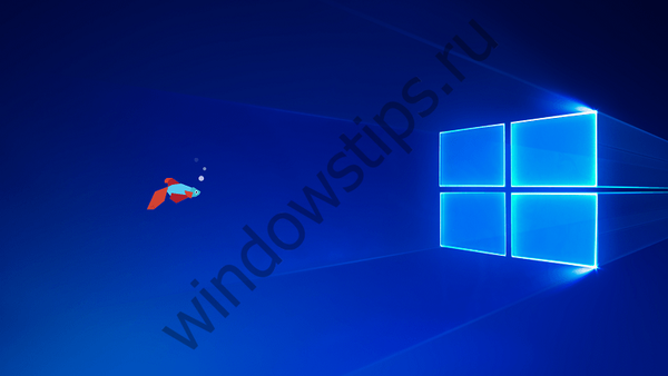 Вийшла збірка Windows 10 Insider Preview 16170 для настільних систем