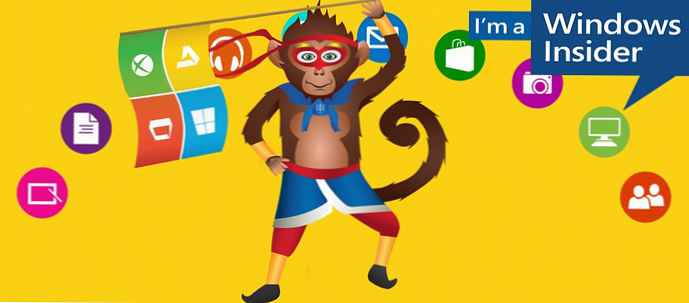 Program Windows Insider dostal nového maskota Ninja Monkey.