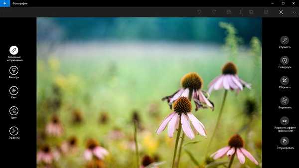 Додаток Фотографії (в Windows 10 Preview) тепер дозволяє створювати альбоми